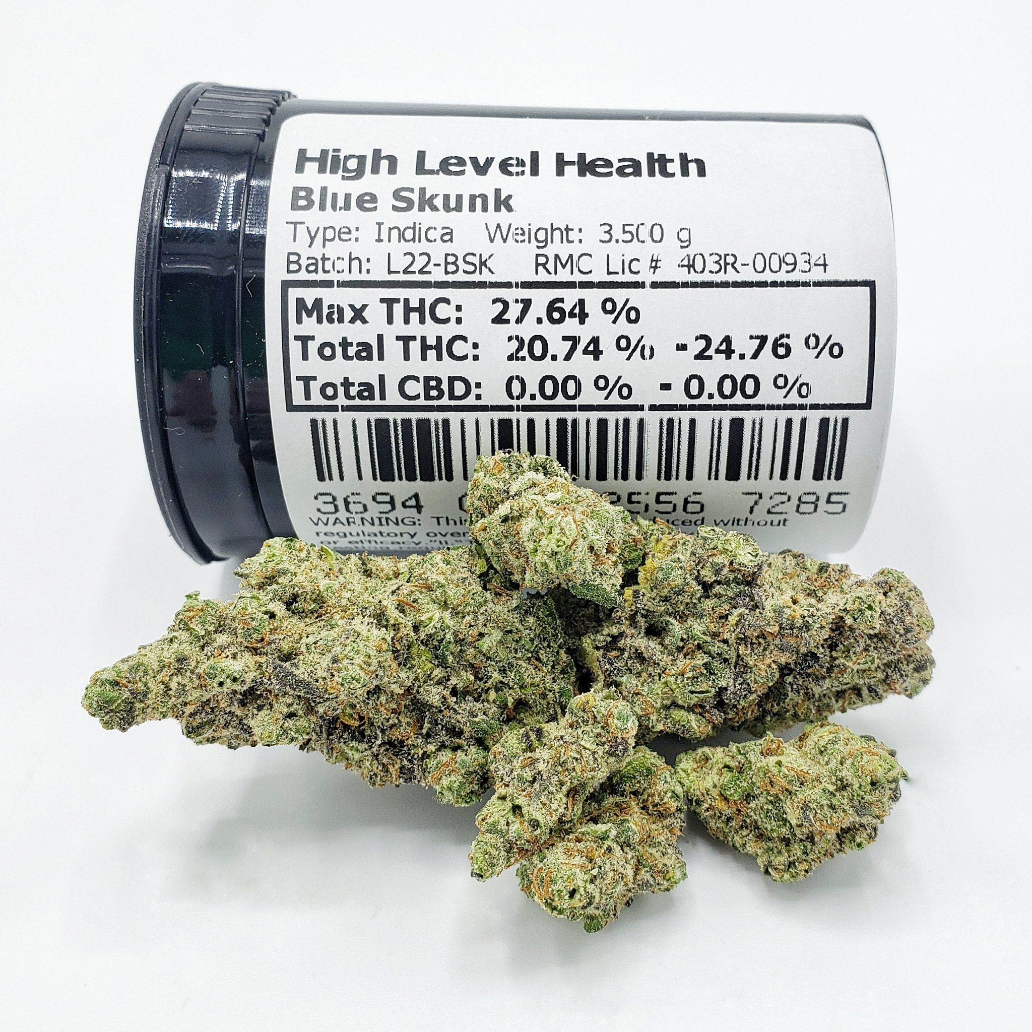 Blue Skunk Is Full Of Fall Colors