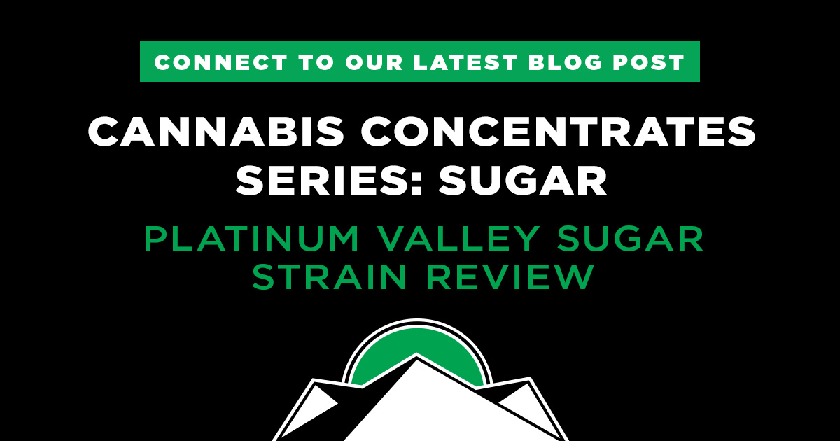 Cannabis Concentrates: Sugar