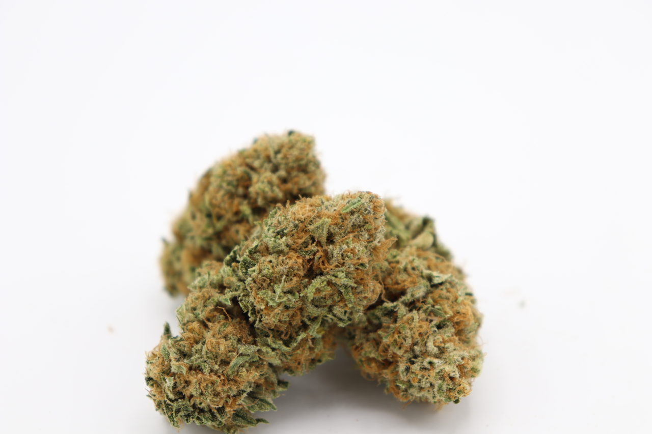 The Rocky Flats Downwinders & High Level Health