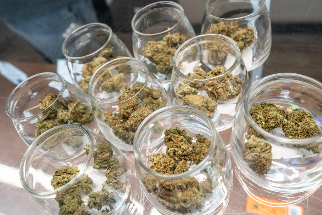 Another 18 Awards for High Level Health!