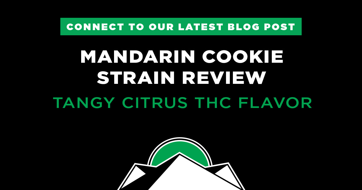 Mandarin Cookies Cannabis Strain Review