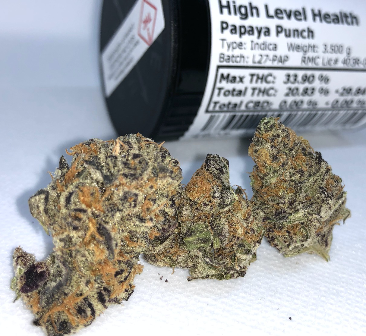 Papaya Punch Tropical Getaway