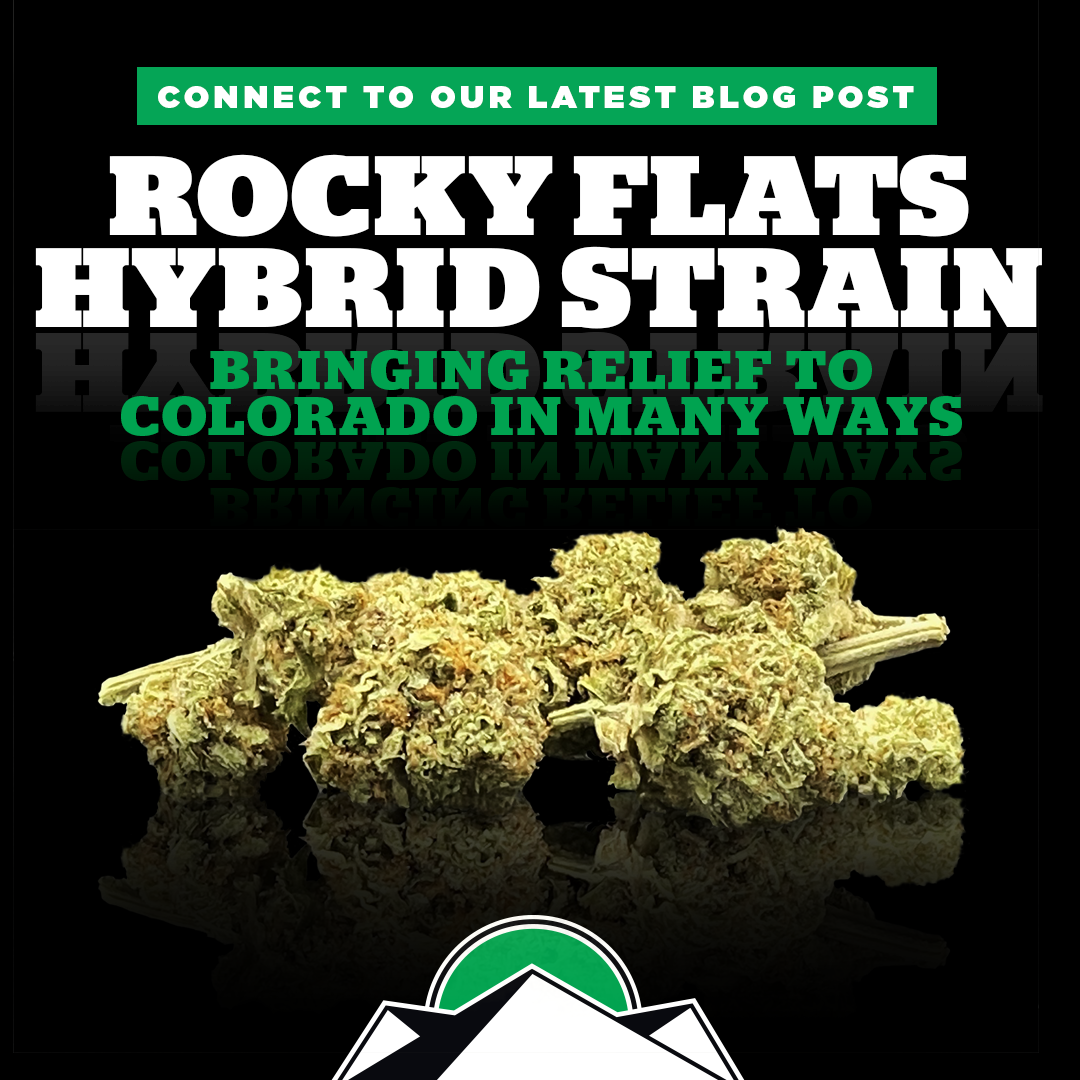 Rocky Flats Hybrid Strain Bringing Relief To Colorado In Many Ways