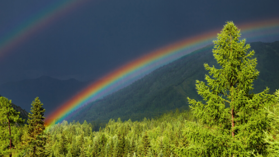 June Happenings & Deals