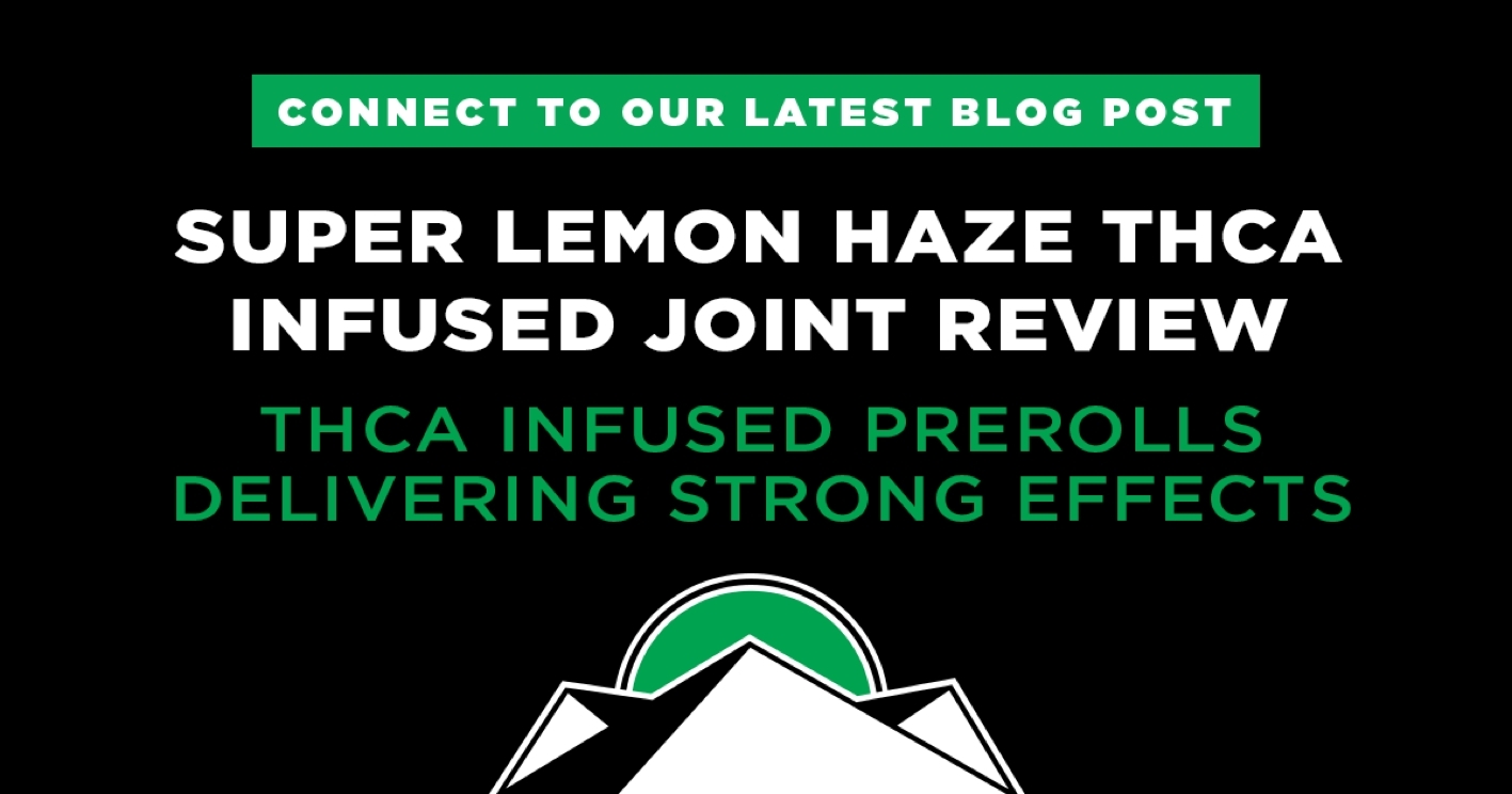 THCa Infused Prerolled Joint