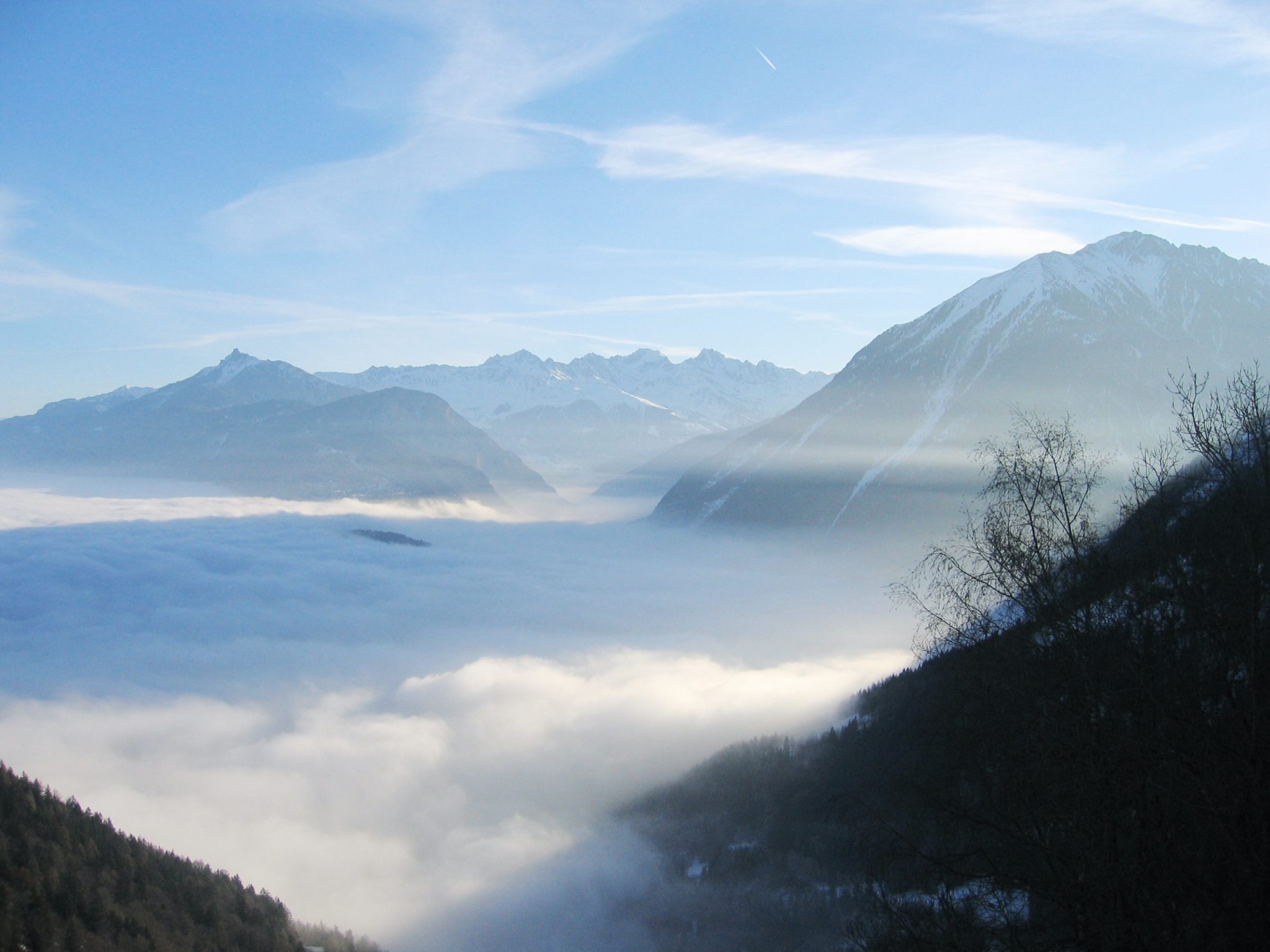 Platinum Valley Spirit Weed